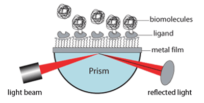 Plasmon