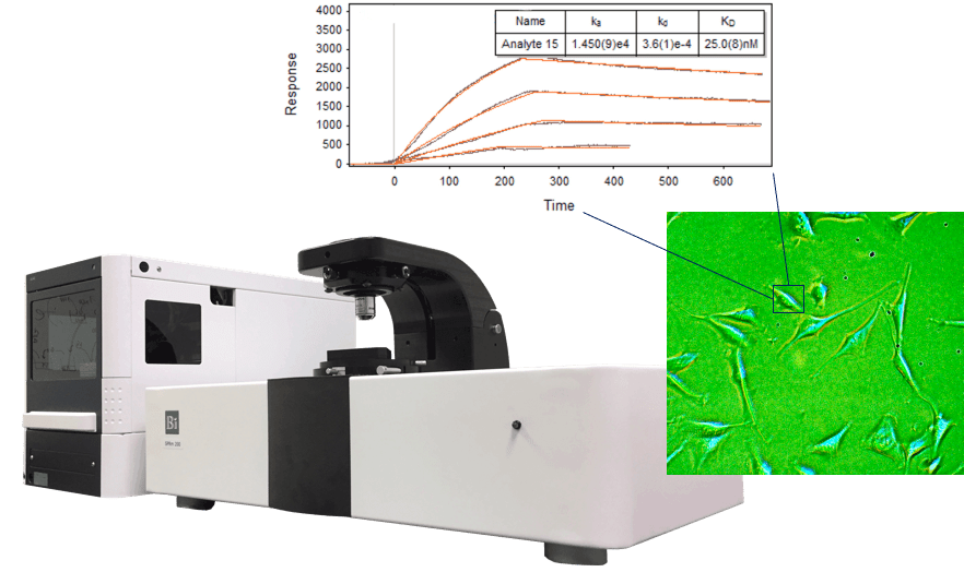 SPRm 200 system