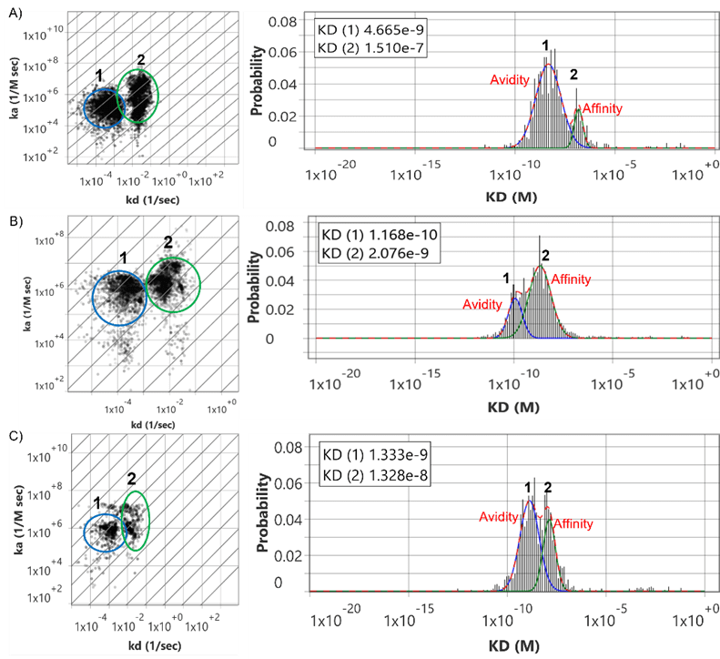 New SPR Microscopy AppNote