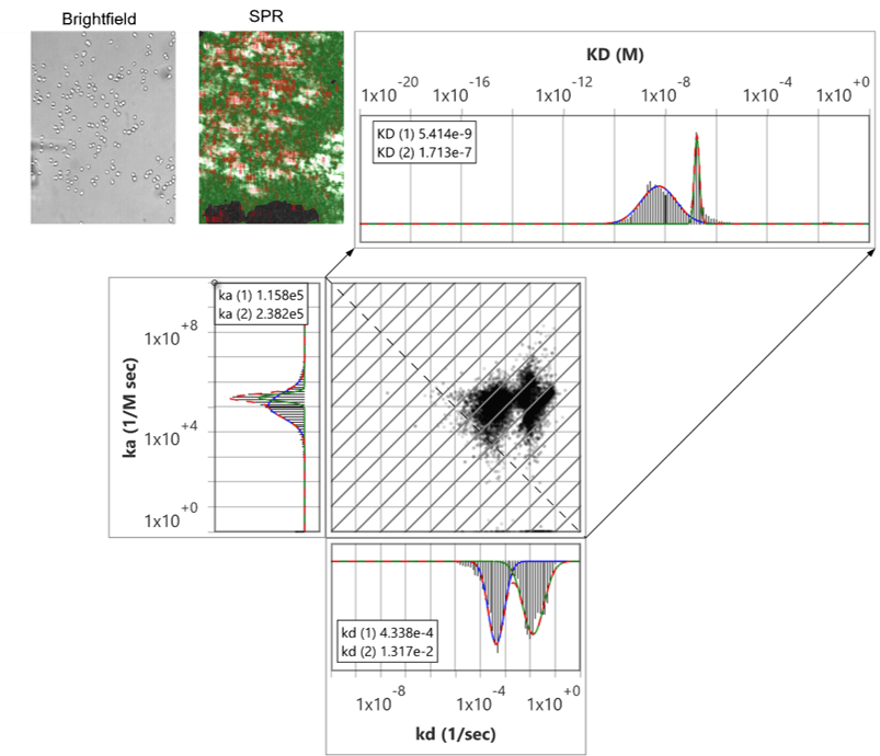 New SPRm Application Note Available!